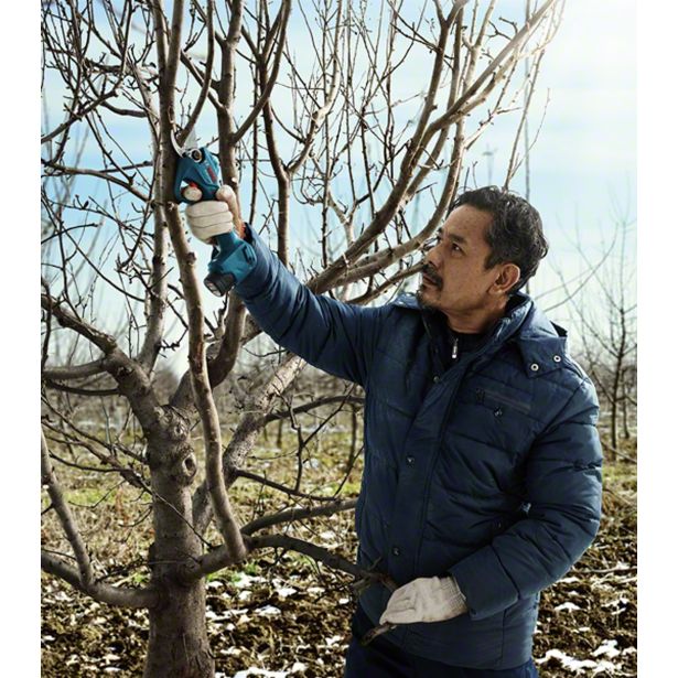 AKUM. ŠKARJE ZA ŽIVO MEJO BOSCH ZA OBREZOVANJE PRO PRUNER