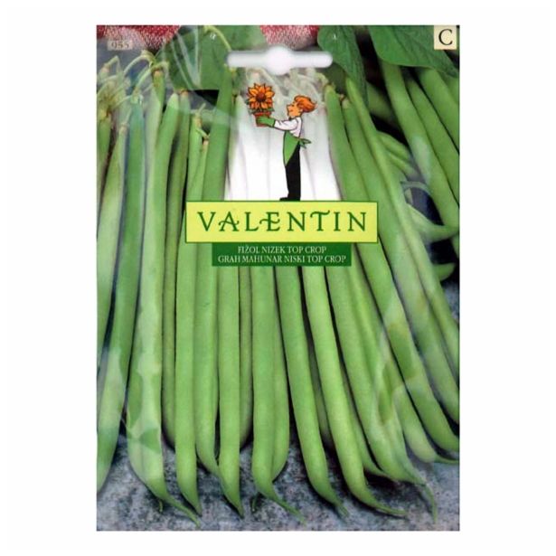 SEME STROČNIC VALENTIN FIŽOL TOP CROP 955