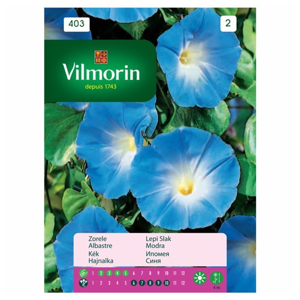 SEMENA CVETOČIH RASTLIN VILMORIN LEPI SLAK MODER