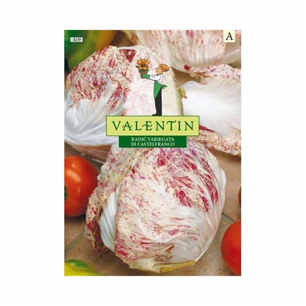 SEMENA VALENTIN RADIČ CASTELFRANCO 419