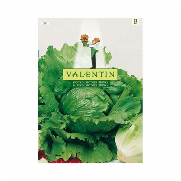 SEMENA VALENTIN SOLATA DALMATINSKA LEDENKA 361
