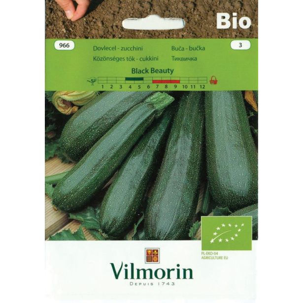 SEMENA VILMORIN BIO BUČKA BLACK BEAUTY