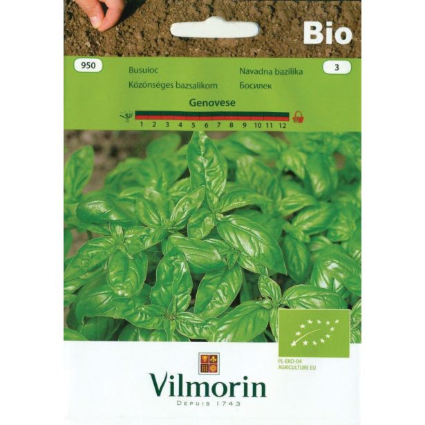 SEMENA VILMORIN BIO NAVADNA BAZILIKA GENOVESE