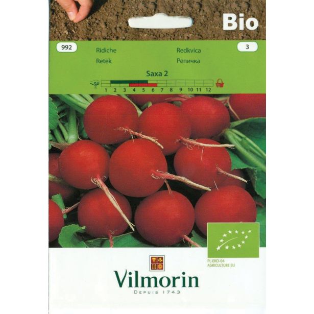 SEMENA VILMORIN BIO REDKVICA SAXA 2