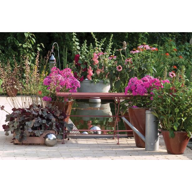 TRAJNICA VOLMARY TRAJNICE MIX LONEC 23 CM