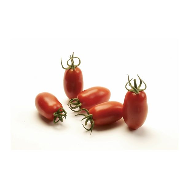 VRTNINA VOLMARY CEPLJENI PARADIŽNIK CAPRESE F1 LONEC 12 CM