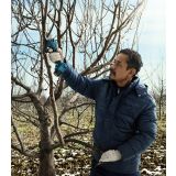 AKUM. ŠKARJE ZA ŽIVO MEJO BOSCH ZA OBREZOVANJE PRO PRUNER