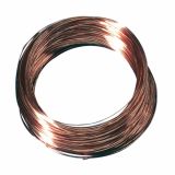 DODATKI, ORODJE ZA NAKIT RAYHER ŽICA MEDENINA, 0.8 MM 6 M
