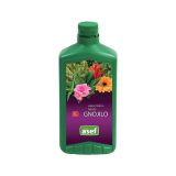 GNOJILO ZA OKR. RASTLINE ASEF TEKOČE MINERALNO 1000 ML ZELENE / CVETOČE RASTLINE