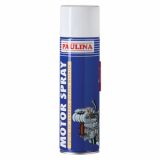 PAULINA MOTOR SPRAY 500ML