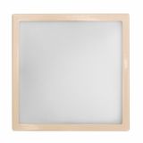 PLAFONJERA LUXEM KIMI 300X300 2X60W E27