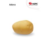 SEME KROMPIRJA ADORA 5 KG