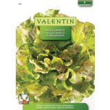 SEMENA VALENTIN 388 SOLATA CANASTA