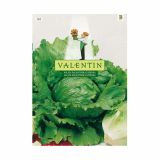 SEMENA VALENTIN SOLATA DALMATINSKA LEDENKA 361