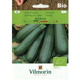 SEMENA VILMORIN BIO BUČKA BLACK BEAUTY