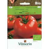 SEMENA VILMORIN BIO PARADIŽNIK ACE 55 VF
