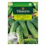 SEMENA VILMORIN KUMARA NA TRAKU HELA F1