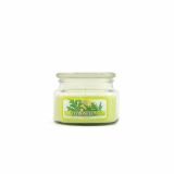 SVEČA V KOZARCU ILKOS SMALL JAR CITRONELLA