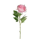 SVILENO CVETJE MICA POTONIKA ROZA D76CM