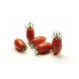 VRTNINA VOLMARY CEPLJENI PARADIŽNIK CAPRESE F1 LONEC 12 CM