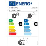 ZIMSKA GUMA CONTINENTAL 215/55R17 98H XL TS870P WINTERCONTACT