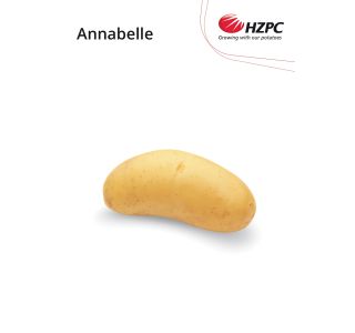 SEME KROMPIRJA KIFELJČAR ANNABELLE 2.5 KG