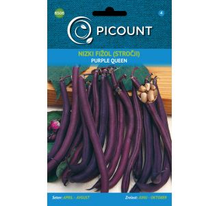 SEME STROČNIC PICOUNT FIŽOL NIZEK PURPLE QUEEN