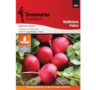 SEMENA CVETOČIH RASTLIN SEMENARNA REDKVICA FALCO