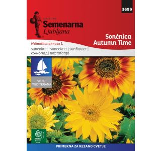 SEMENA CVETOČIH RASTLIN SEMENARNA SONČNICA ČAS JESENI MEDITERAN