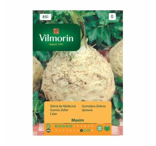 SEMENA CVETOČIH RASTLIN VILMORIN GOMOLJNA ZELENA MAXIM