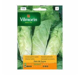SEMENA CVETOČIH RASTLIN VILMORIN NAVADNI POTROŠNIK PAIN DE SUCRE