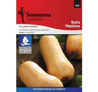 SEMENA SEMENARNA BUČKA BUTTERNUT ZENITH F1 M.V. MEDITERAN 707