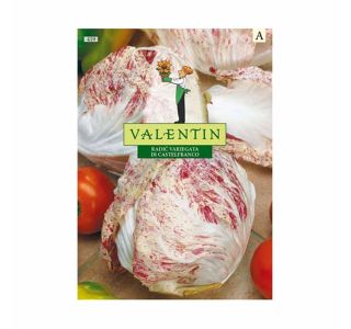 SEMENA VALENTIN RADIČ CASTELFRANCO 419