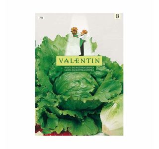 SEMENA VALENTIN SOLATA DALMATINSKA LEDENKA 361