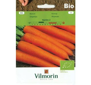 SEMENA VILMORIN BIO KORENJE NANTES 2