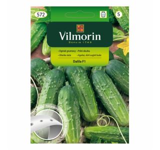 SEMENA VILMORIN KUMARA NA TRAKU HELA F1