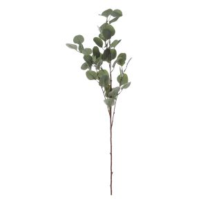 SVILENO CVETJE MICA EVKALIPTUS ZELEN - D93CM