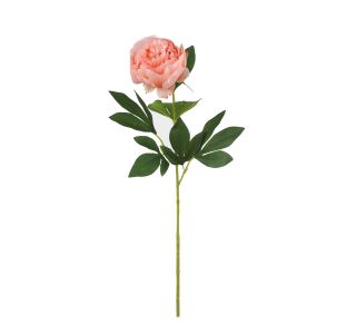 SVILENO CVETJE MICA POTONIKA BRESKEV - D76CM