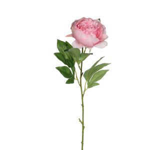 SVILENO CVETJE MICA POTONIKA ROZA D76CM