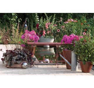 TRAJNICA VOLMARY TRAJNICE MIX LONEC 23 CM