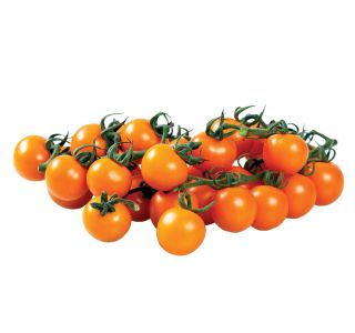 VRTNINA DOBRO & ZDRAVO CEPLJEN PARADIŽNIK SUNGOLD F1