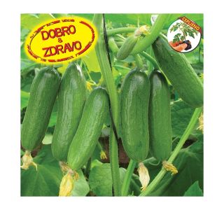 VRTNINA DOBRO & ZDRAVO CEPLJENE KUMARE BABY ROCKY F1