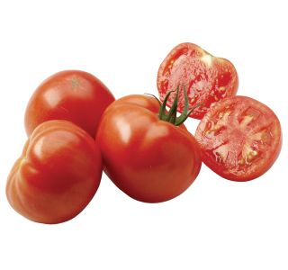 VRTNINA DOBRO & ZDRAVO CEPLJENI PARADIŽNIK MAESTRIA F1