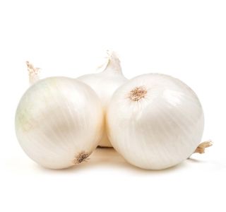 VRTNINA L'ORTO FRUTTIFERO BELA ČEBULA 9/1 DI LUCCA KULTIPAK
