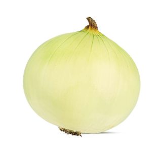VRTNINA L'ORTO FRUTTIFERO BELA ČEBULA 9/1 MUSONA KULTIPAK
