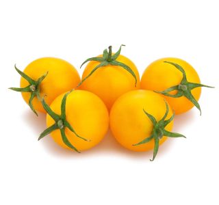VRTNINA L'ORTO FRUTTIFERO ČEŠNJEV PARADIŽNIK 1/1 RUMENSTAR GOLD L10