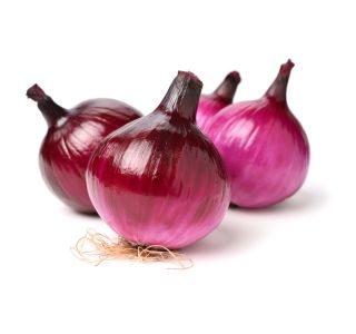 VRTNINA L'ORTO FRUTTIFERO RDEČA ČEBULA 9/1 BREME KULTIPAK