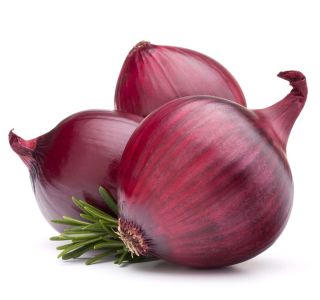 VRTNINA L'ORTO FRUTTIFERO RDEČA ČEBULA 9/1 DI LUCCA KULTIPAK