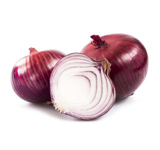 VRTNINA L'ORTO FRUTTIFERO RDEČA ČEBULA 9/1 N. ROCCABRUNA KULTIPAK