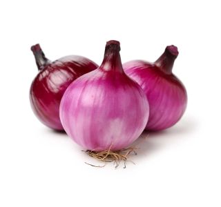 VRTNINA L'ORTO FRUTTIFERO RDEČA ČEBULA 9/1 TROPEANA KULTIPAK